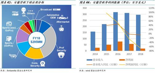 圖像處理芯片潛力無限，中國表現如何？