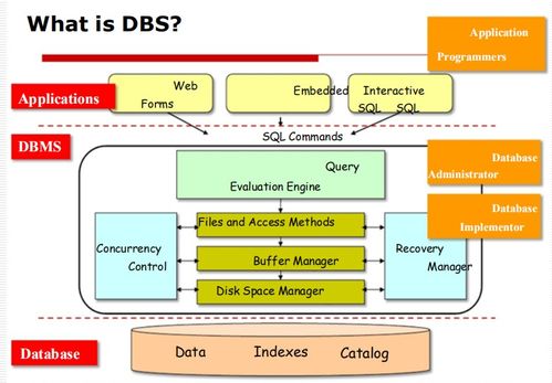 數據庫管理系統（DBMS）入門 基礎概念、目標與應用